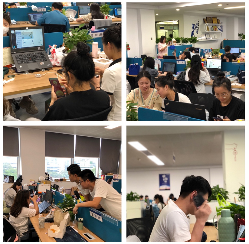 rb88���а�_�����������